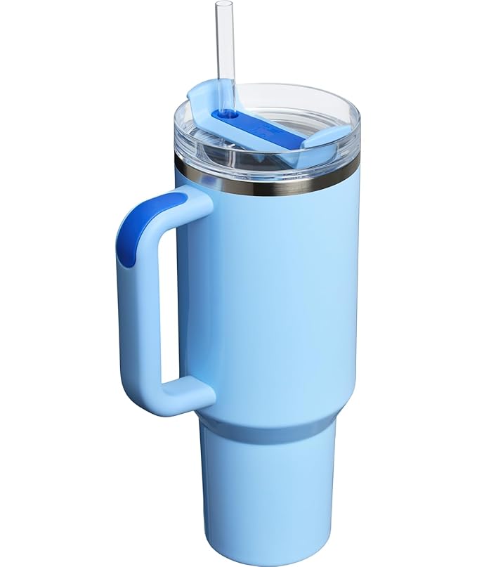 Lifestyn Sky Blue Insulated Travel Tumbler with Handle & Straw