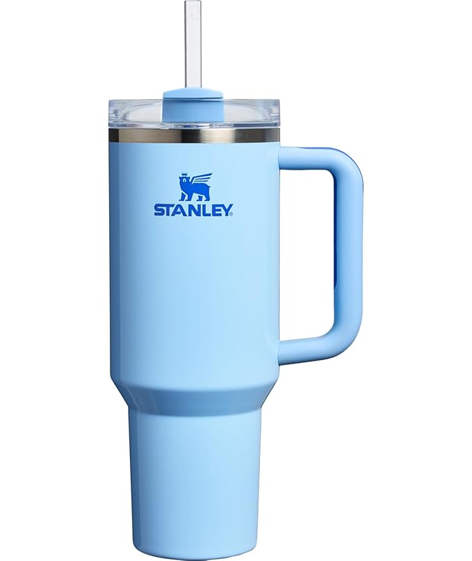 Lifestyn Sky Blue Insulated Travel Tumbler with Handle & Straw
