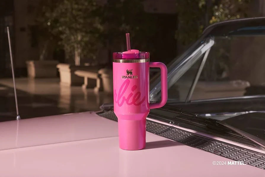 Lifestyn Pink Insulated Travel Tumbler with Handle & Straw