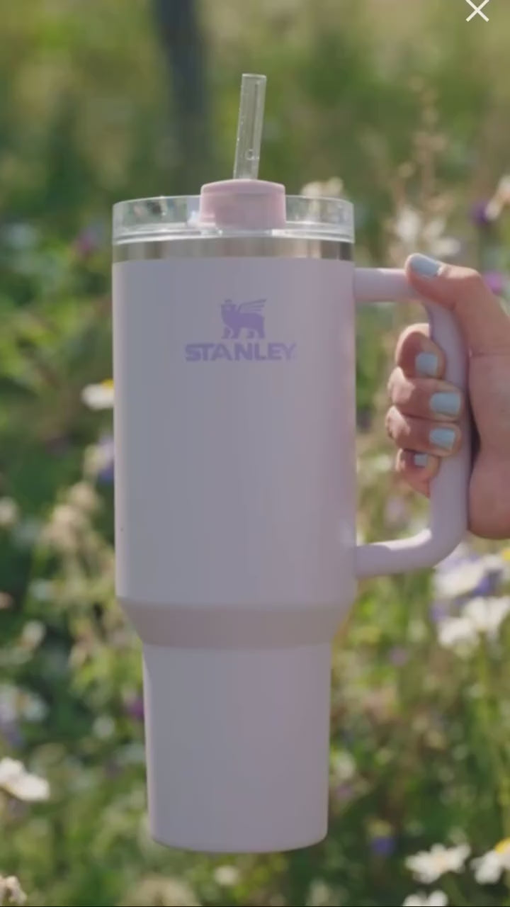 Lifestyn Lavender Insulated Travel Tumbler with Handle & Straw
